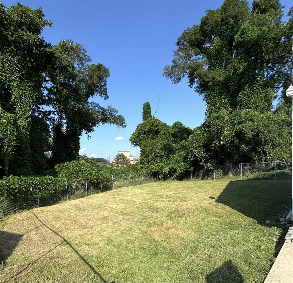 The same back yard cut down to an even, clean lawn