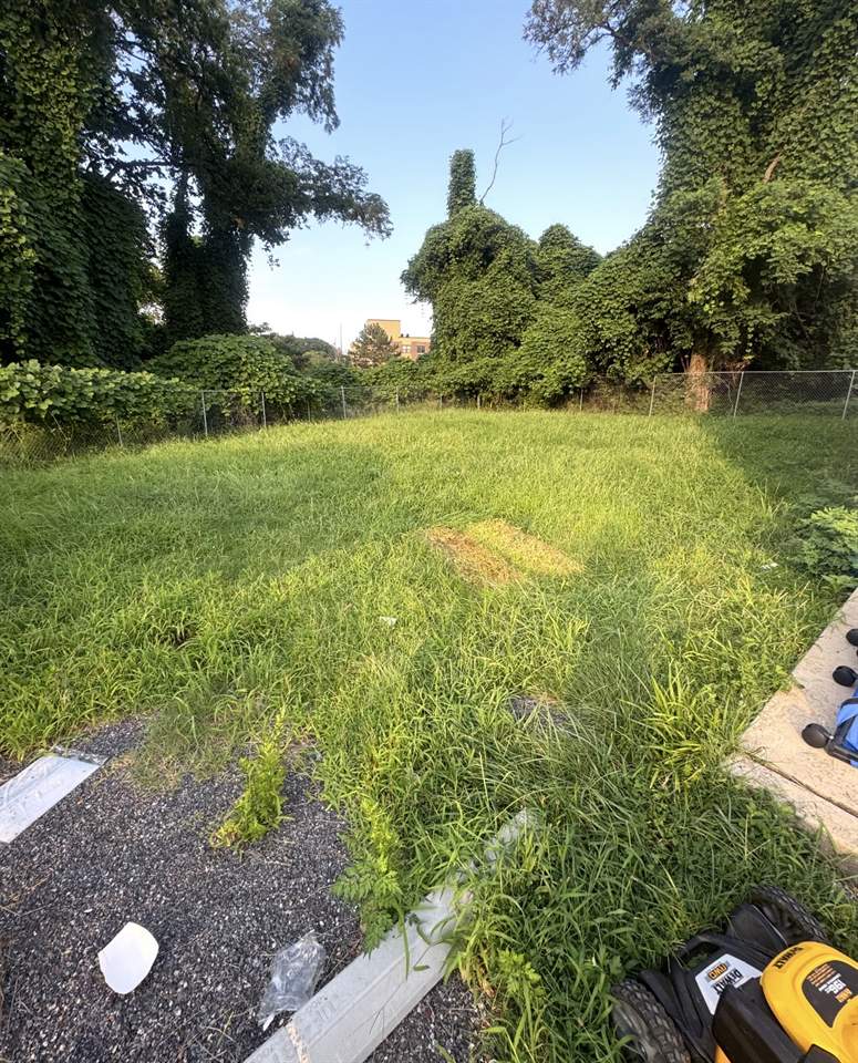 Back yard overgrown with knee-high grass and weeds before mowing