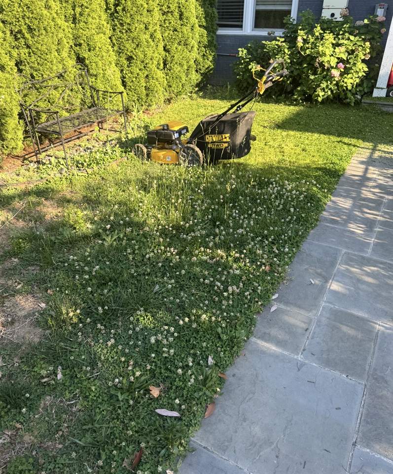 Mower part way through a lawn showing the cut line between long and trimmed grass